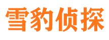 吉县市婚姻出轨调查